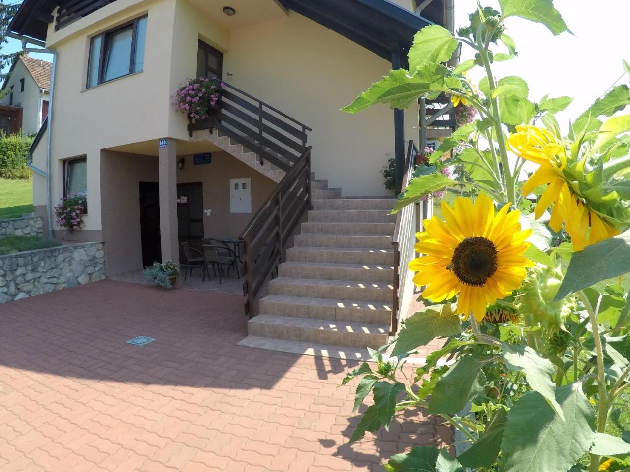 Apartment Ante スルニュ エクステリア 写真